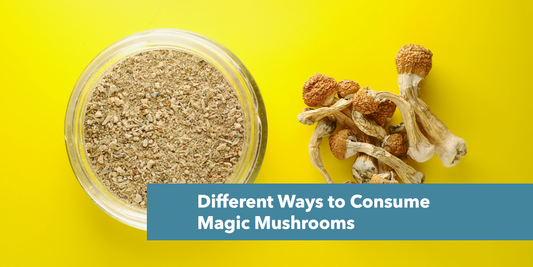 Different Ways to Consume Magic Mushrooms