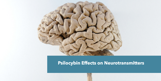 Psilocybin Effects on Neurotransmitters