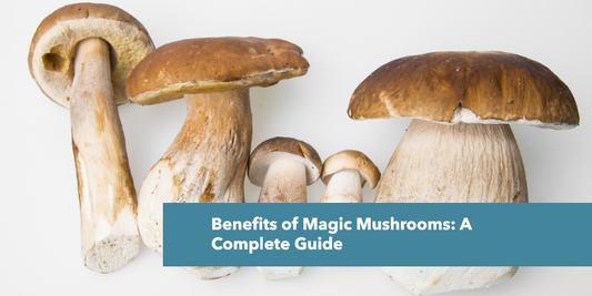 Magic Mushrooms Benefits: How it’s Helpful to you