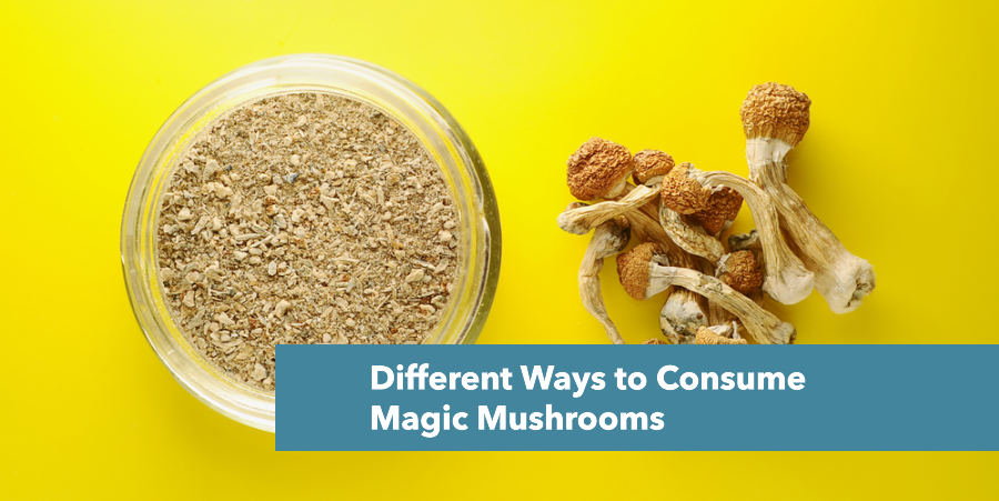 Different Ways to Consume Magic Mushrooms