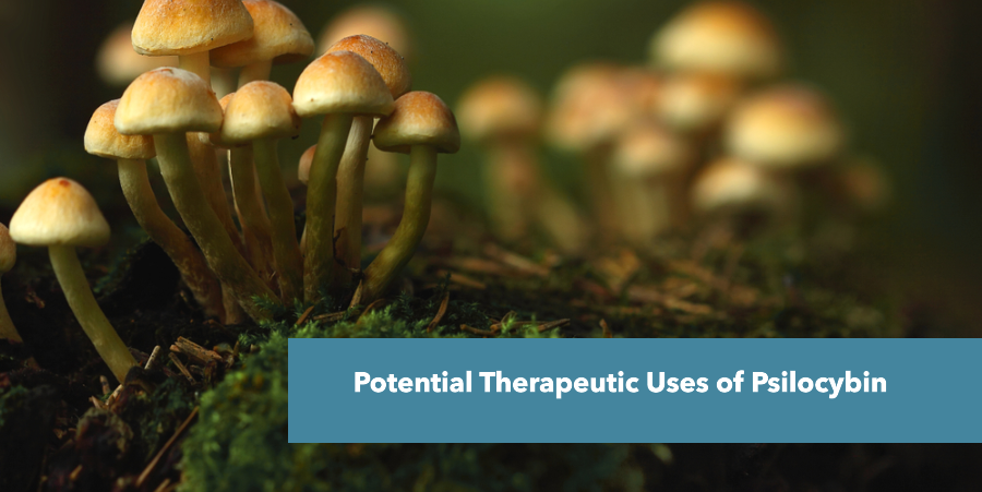 Potential Therapeutic Uses of Psilocybin