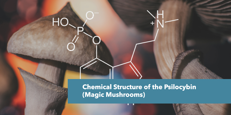 Chemical Structure of the Psilocybin (Magic Mushrooms)