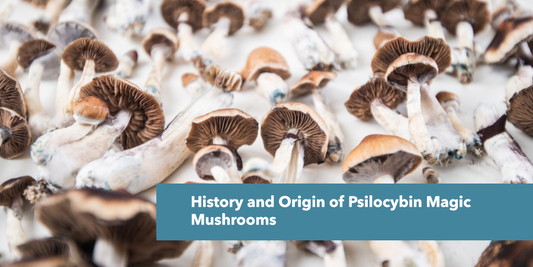 History and Origin of Psilocybin Magic Mushrooms