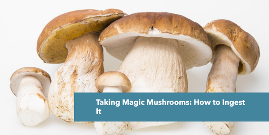 Taking Magic Mushrooms: How to Ingest It