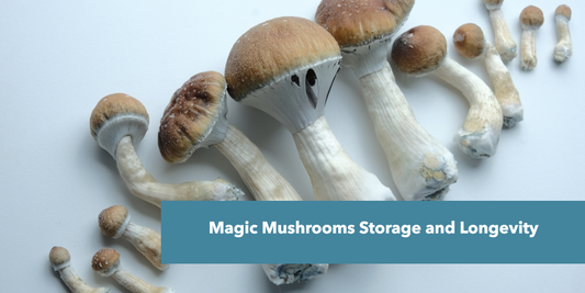 Magic Mushrooms Storage and Longevity