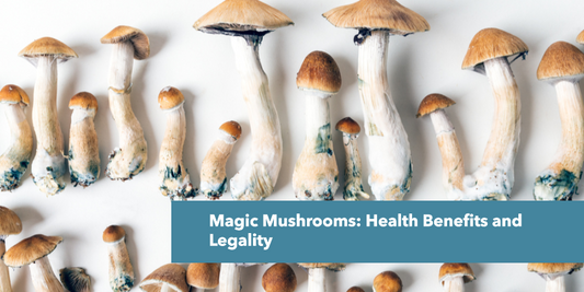 Magic Mushrooms: Health Benefits and Legality