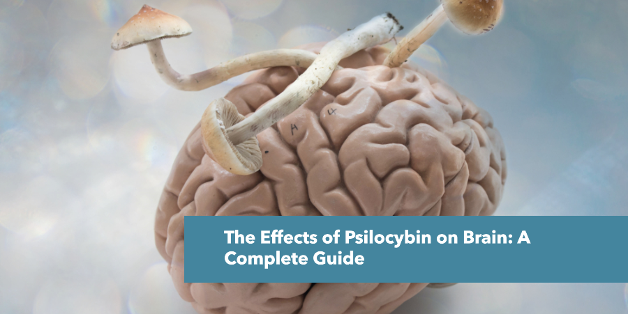 The Effects of Psilocybin on Brain – Moosh Wellness